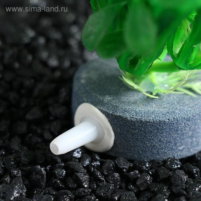 Растение искусственное Растение искусственное