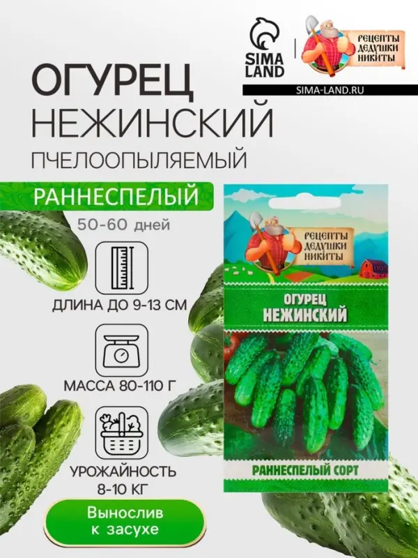 Семена Огурец "Нежинский", 0,5 г