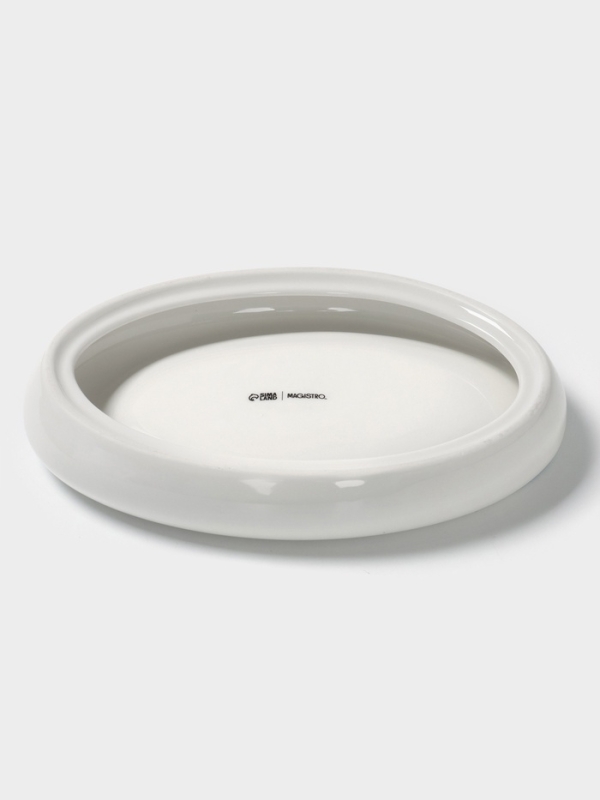 Блюдо овальное Blue Lagoon Magistro 21×14.4×3.5 см, белое, синий