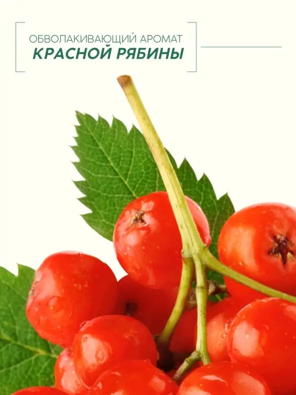 Пена для ванны, витаминный спа-уход, аромат рябины, 400 мл, Рябина