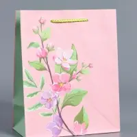 Пакет подарочный "Нежный комплимент" ламинированный 18 х 22,3 х 10 см