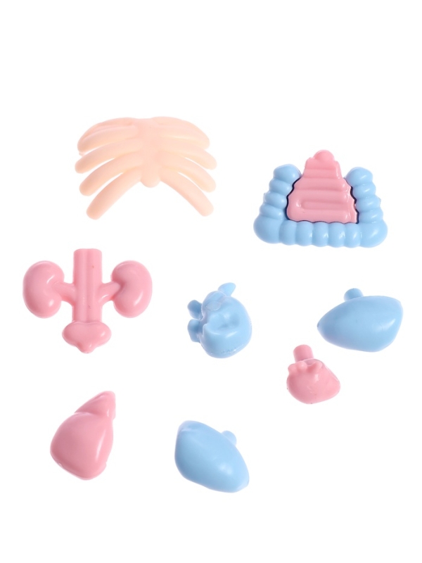 ЭВРИКИ Набор для опытов "Строение тела человека", 15 деталей