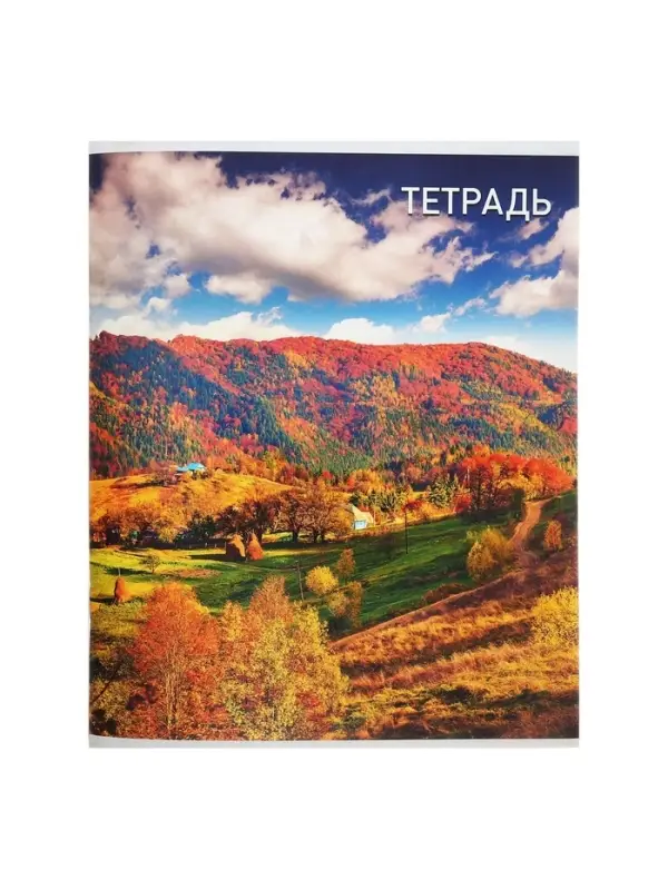 Тетрадь 96 листов, в клетку, Calligrata &laquo;Природа&raquo;, серые листы, МИКС