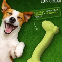 Жевательная игрушка для собак &laquo;Любимое лакомство&raquo;, 11&times;4 см, TPR, салатовая