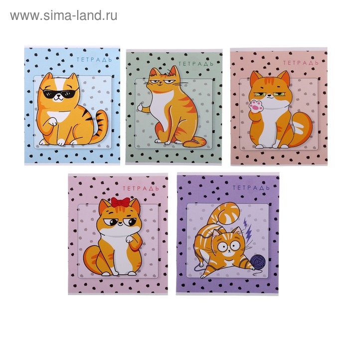Тетрадь 48 листов в клетку Calligrata "Коты", обложка мелованный картон, блок офсет, МИКС
