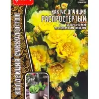 Семена цветов Кактус Распростёртый опунция 4 шт. / НОВИНКА  12.29 г.