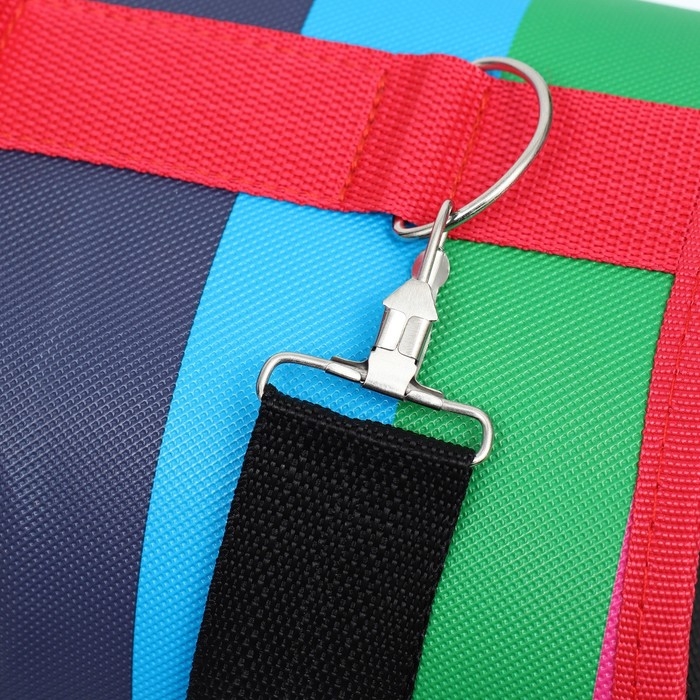 Сумка - переноска для животных  Сумка - переноска для животных "Радуга", размер М, 40 х 21 х 27 см