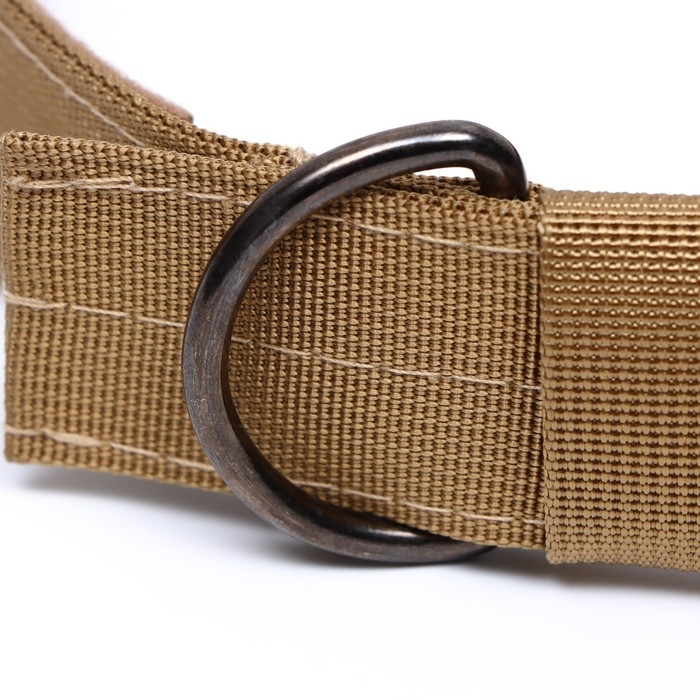 Ошейник с мягкой подкладкой, 67 х 4 см, ОШ 43-53 см, песочный Ошейник с мягкой подкладкой, 67 х 4 см, ОШ 43-53 см, песочный