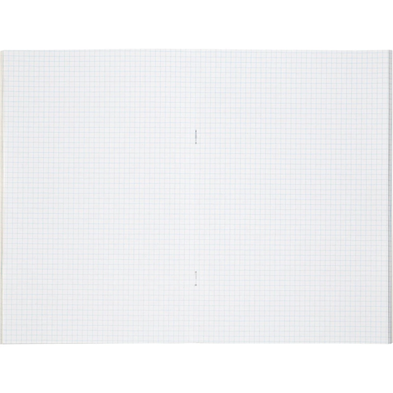 Книга учета Выбор есть А4 48л клетка блок типограф обл. картон