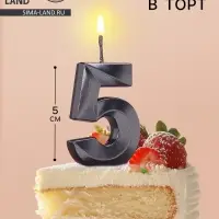 Свеча в торт на шпажке &laquo;Цифра 5&raquo;, черная, 5 см