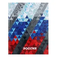 Дневник школьный для 1-11 классов, &laquo;Россия геометрия&raquo;, твёрдая обложка 7БЦ, глянцевая ламинация, 40 листов
