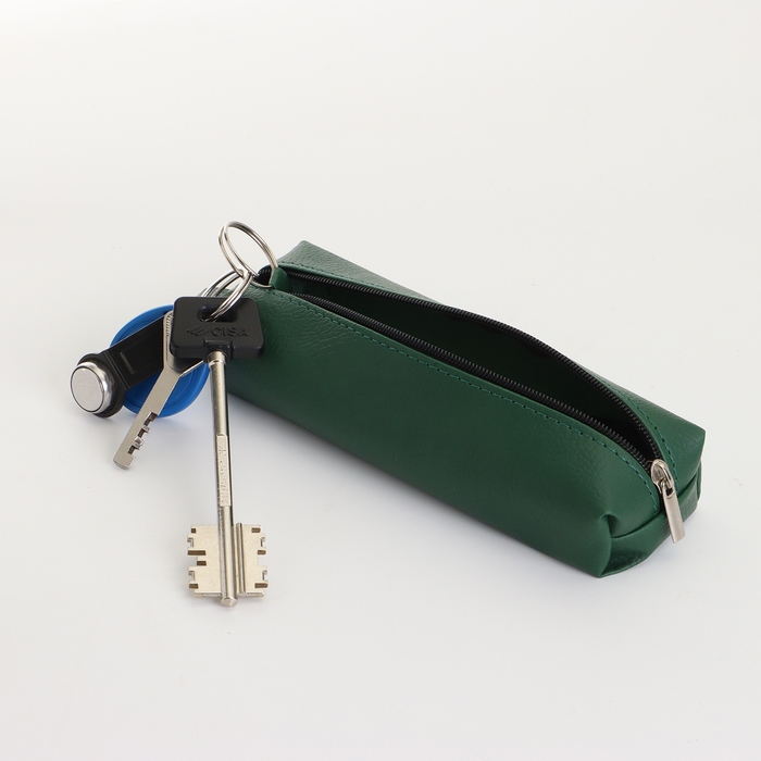 Ключница на молнии, длина 16 см, кольцо, карабин, цвет зелёный Ключница на молнии, длина 16 см, кольцо, карабин, цвет зелёный