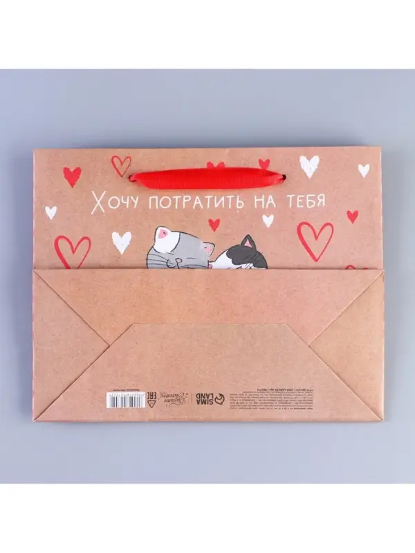 Пакет подарочный крафтовый, упаковка, &laquo;Потрачу девять жизней&raquo;, MS 18&times;23&times;8 см