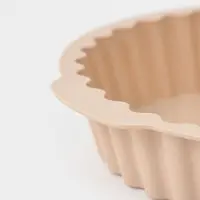 Форма для выпечки Доляна &laquo;Рифлёный круг. Звезда&raquo;, силикон, d=20 см, с ручками, бежевый