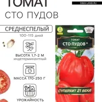 Семена Томат &laquo;Сто пудов&raquo;, индетерминантный, высокорослый, 20 шт., &laquo;Аэлита&raquo;