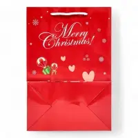 Пакет ламинированный подарочный с окном &laquo;Дед мороз&raquo; 24&times;35&times;14 см, зеленый