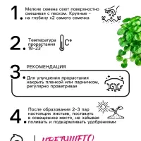 Семена цветов Дихондра "Изумрудный водопад", серия "Профи", F1, О, 10 шт.