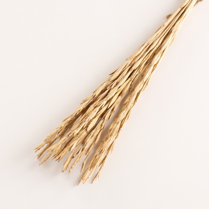 Набор сухоцветов Набор сухоцветов "Райграс", банч 21 шт, длина 60 (+/- 6 см), натуральный