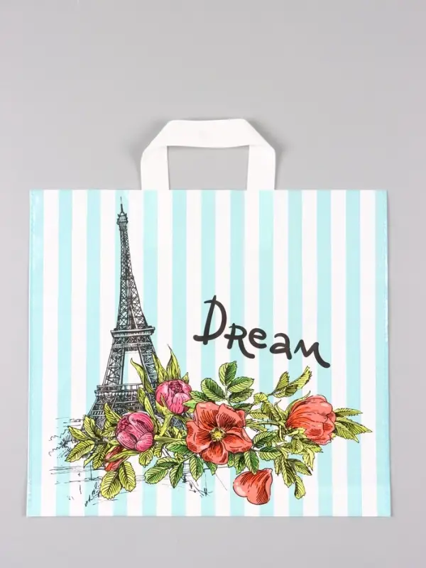 Пакет "За мечтой", полиэтиленовый с петлевой ручкой, 38 х 34 + 3 см, 70 мкм