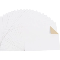 Картон белый Выбор Есть 20л А4 немелован. папка