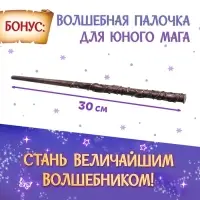 Набор книг &laquo;Волшебник&raquo;, 2 шт. по 24 стр., волшебная палочка