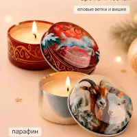 Свеча ароматическая, в железной банке, набор 2 шт.&laquo;Символ года 2027&raquo; еловые ветки и вишня