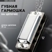 Губная гармошка Music Life 4 отверстия, 8 тонов, 3.5&times;1.5&times;1 см, цепь 28 см, серебристая