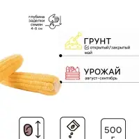 Семена Кукуруза сахарная &laquo;Тройная сладость&raquo;, 500 г, &laquo;Сембат&raquo;