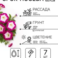 Семена цветов Петуния &laquo;Мамбо&raquo; F1, розовое утро, многоцветковая, пробирка, 7 шт.
