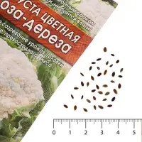 Семена Капуста цветная &laquo;Коза-дереза&raquo;, 0.3 г, &laquo;Аэлита&raquo;