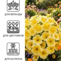 Семена цветов Петуния ампельная крупноцветковая &laquo;Лавина. Жёлтая звезда&raquo;, F1, драже 5 шт., однолетник, &laquo;Престиж семена&raquo;