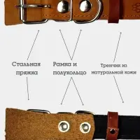 Ошейник, 50&times;2.5 см, с подкладом тиснение, кожа, коричневый