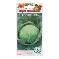 Семена Капуста белокоч. "Валентина", F1, 10 шт Семена Капуста белокоч. "Валентина", F1, 10 шт