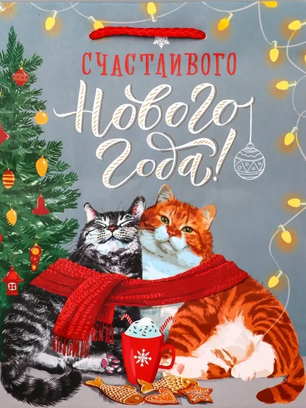 Пакет подарочный новогодний ламинированный &laquo;Счастливого нового года&raquo;, 18&times;10&times;22.3 см
