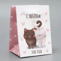 Пакет подарочный ламинированный, упаковка, «Котики», 7×10×7 см Пакет подарочный ламинированный, упаковка, «Котики», 7×10×7 см