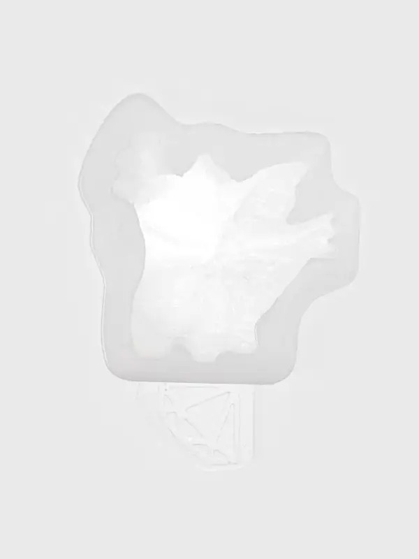 Молд для заливки &laquo;Конфетка дракоша&raquo;, силикон, 3.8&times;3.8 см, толщина 2.2 см, прозрачный