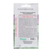 Семена Цветов Катарантус розовый, Винка Тату Блуберри, 5 шт Семена Цветов Катарантус розовый, Винка Тату Блуберри, 5 шт