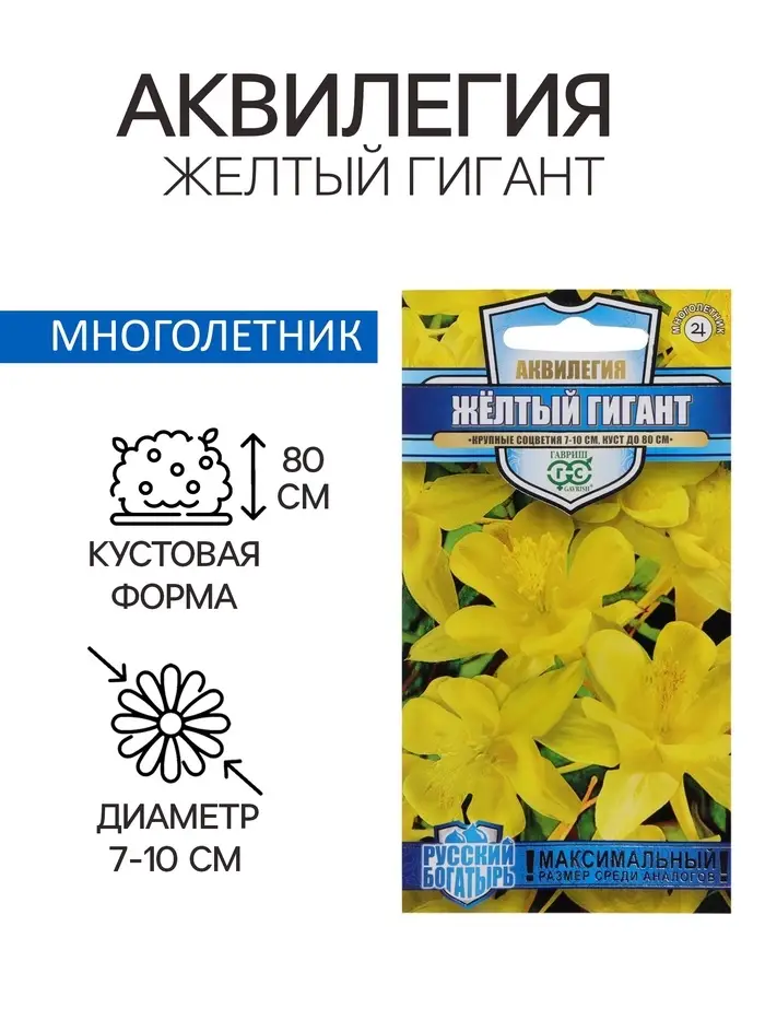 Семена цветов аквилегия «Желтый гигант», цветной пакет, 0.05 г Семена цветов аквилегия «Желтый гигант», цветной пакет, 0.05 г