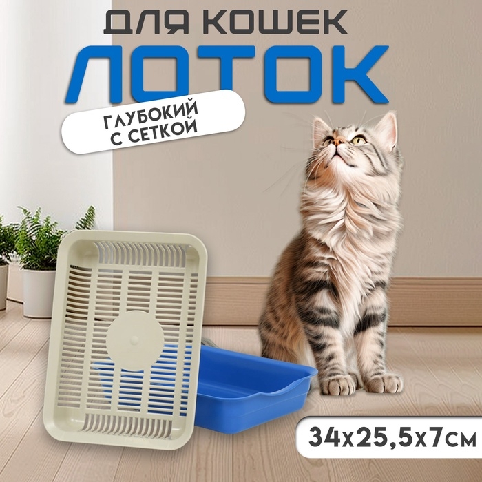 Лоток с сеткой №3, 34 х 25,5 х 7 см, бежевый/синий Лоток с сеткой №3, 34 х 25,5 х 7 см, бежевый/синий