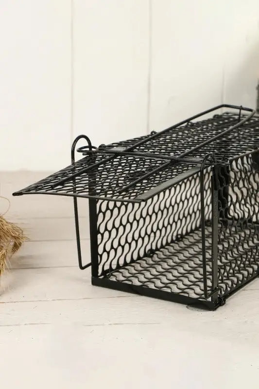 Крысоловка, 24&times;12&times;12 см, металлическая, Greengo