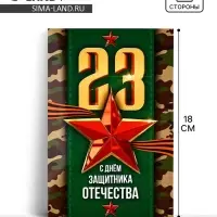 Открытка «С 23 Февраля!», 12×18 см