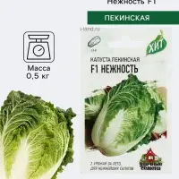 Семена Капуста пекинская &laquo;Нежность&raquo;, F1, 0.1 г, &laquo;Удачные семена&raquo;
