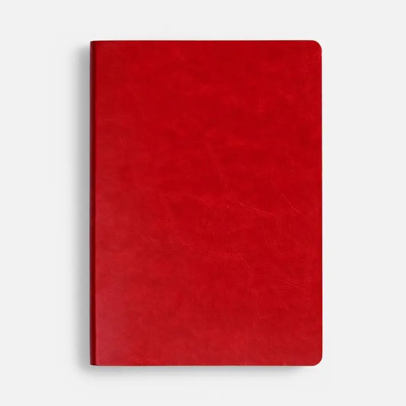 Ежедневник Nebraska Flex, недатированный, красный с серебристым Ежедневник Nebraska Flex, недатированный, красный с серебристым