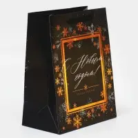 Пакет «Поздравляю с Новым годом!», 18 х 23 х 10 см