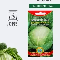 Семена Капуста белокочанная &laquo;Валентина&raquo;, F1, 0.1 г, &laquo;Плазмас&raquo;