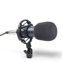 Микрофон конденсаторный Music Life золотой: кабель, ветрозащита, стойка