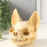 Копилка для денег &laquo;Череп сфинкса&raquo;, 14&times;14&times;13 см, натуральный