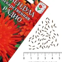 Семена цветов Календула &laquo;Радио&raquo;, 0.3 г, &laquo;Артикул&raquo;