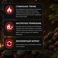 Угольные брикеты для гриля &laquo;Березняк&raquo;, 1.8 кг