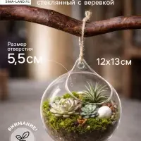 Флорариум &laquo;Шар капля&raquo;, с верёвкой, 12&times;12&times;13 см, стекло, прозрачный